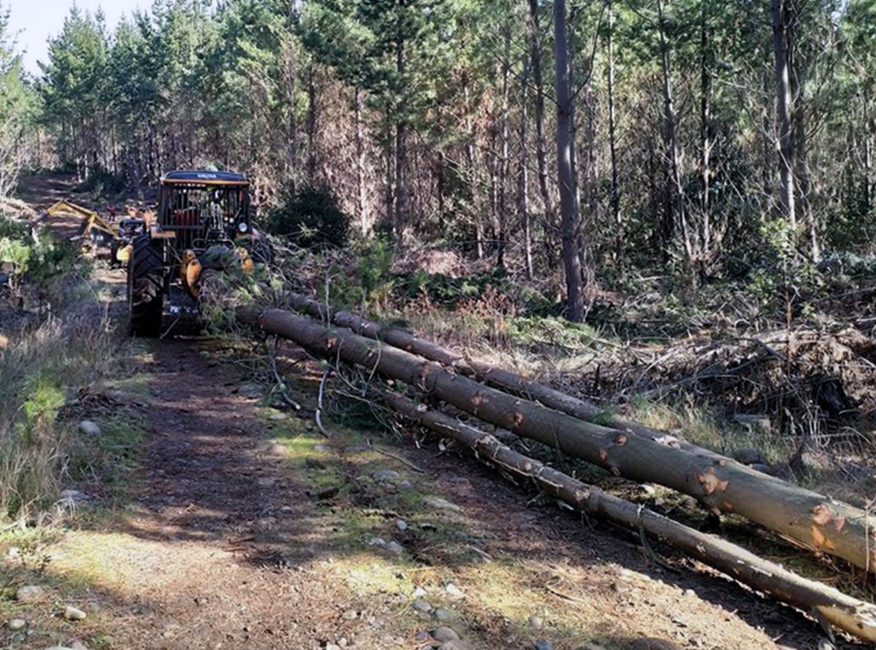 Tractor Log Skidding