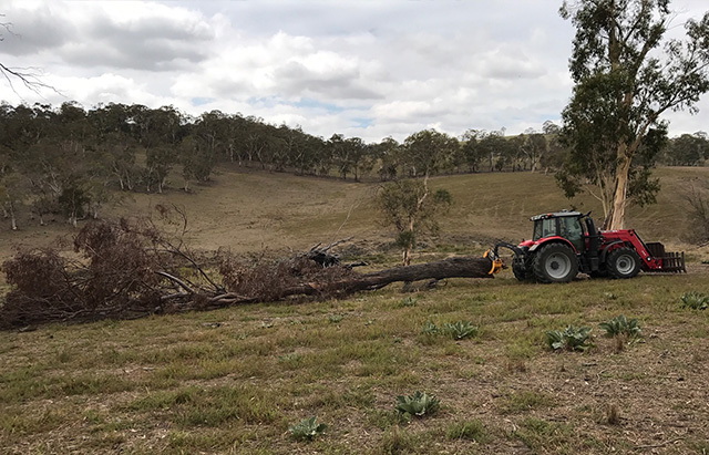 Tractor Log Skidding