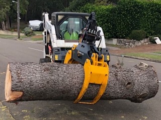 loader and skid steer grapples