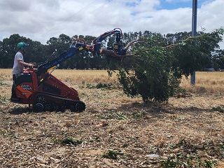 loader and skid steer grapples