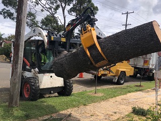 loader and skid steer grapples