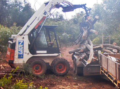 skid steer log grapples