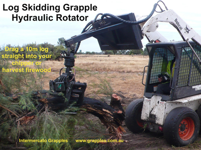 skid steer log grapples